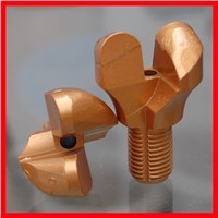 pdc anchor bit