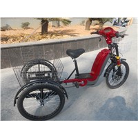 Electric Cargo Pedicab with 3 Wheels