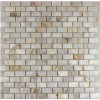 Chinese Shell Manufacturer Rectangel Freshwater Mother of pearl Shell Mosaic Tile