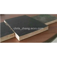 Plastic Plywood Used for Concrete Formwork