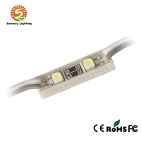 Waterproof 2LED SMD 5050 LED Module