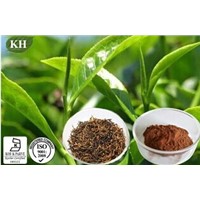 Black Tea Extract: Theaflavins 40%, 60%;Polyphenols 25%, 40%.