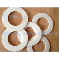 Pure PTFE Gasket