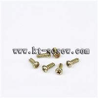 stainless license plates security screw for vehicles(with ISO card)