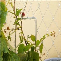 Plant Climbing Prop Stainless Steel Wire Rope Net