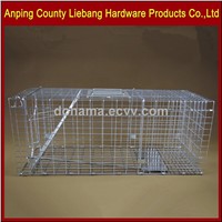 Foldable Humane Live Animal Trap Cage for Raccoon Dog Cat Repeller in Pest Control