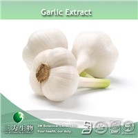 Garlic Extract(2% Allicin ) In Hot Selling