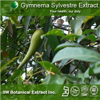 Gymnema Extract(75%gymnemic acids)Supplied By 3W GMP Factory