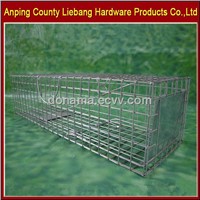 Humane pest repeller Live Animal Trap Cage for Squirrel in Pest Control