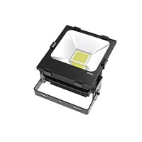 LED flood light