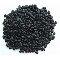 Black Soybean Hull Extract 5-70% anthocyanin/black soybean extract