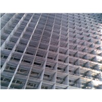 Galvanized 14 gauge Wire Mesh ( Galvanized before or after welded ISO 9001)