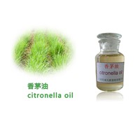 Pure Natural Citronella Aromatherapy Fragrance Oil 70%