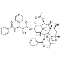 Paclitaxel(CAS:33069-62-4)