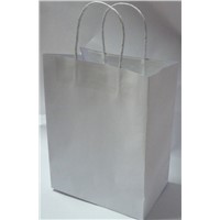 White kraft paper bag with twist handle