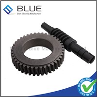 OEM Worm Gear with Hardness HRC58~62