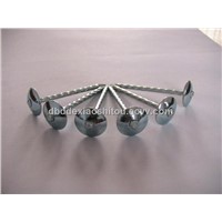 roofing nail