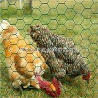 Hexagonal wire mesh/ chicken wire mesh