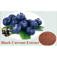 Pure natural black currant extract with 25% Anthocyanin