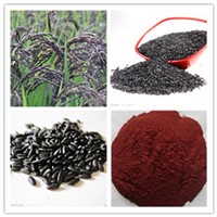 black rice extract with 5% 25% anthocyanidin