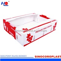 Plastic Cortugated Fruit And Vegetable Box