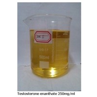 Legal Safe Testosterone Enanthate Steroids Powder / To Promote Male Genital Growth CAS 315-37-7