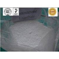 Testosterone Enanthate/ bodybuilding / Testosterone Steroid Hormone / CAS 315-37-7