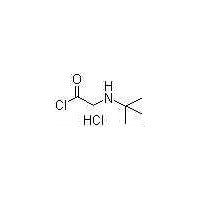 2-[(tert-Butyl)amino]acetyl chloride HCl  915725-52-9