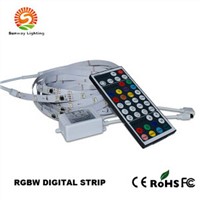 Digital Addressable Magic Colorful RGBW LED Strip