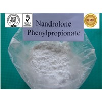 Durabolin 50 Injectable Anabolic Steroids Nandrolone Phenylpropionate Powder