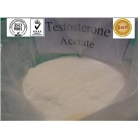 Testosterone Acetate / bodybuilding / Testosterone Steroid Hormone / CAS 1045-69-8