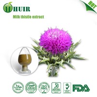 80% Silymarin Milk Thistle Seed Extract Natural Liver Health