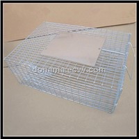 World Best Selling Products Hot New Products for 2015 Live Bird Traps Cage