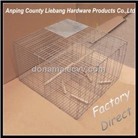 Humane Collapsible Top Selling Products Foldable Live Bird Trap Cage for Pigeon &amp;amp; Crow &amp;amp; Magpie