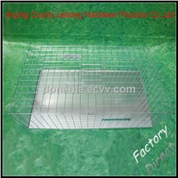 New Products 2014 Foldable Live Bird Trap Cage for Pigeon &amp;amp; Crow &amp;amp; Magpie