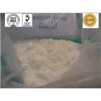 Oral Raw Testosterone Steroids Sustanon 250 Powder For Male Andropause Treatment / Muscle Building