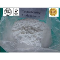 Prescription Raw Testosterone Undecanoate Powder , 98% Andriol Content Anabolic Steroid