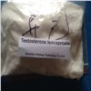 Testosterone Isocaproate Powerful Legal Steroid Muscle Building Steroid