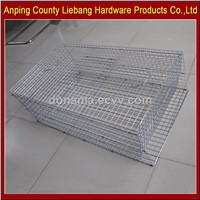 Factory Direct Sales Animal Products Foldable Live Bird Trap Cage for Pigeon &amp;amp; Crow &amp;amp; Magpie