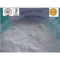 GMP Pharmaceutical Chemicals Manufacturer Sulfinpyrazone /Febuxostat /Probenecid