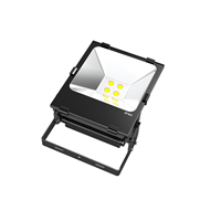 High Power Waterproof Outdoor Reflector LED 150W IP66 LED Flood Light