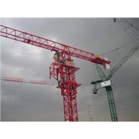 China Equipment Construction tower crane for Sale QTZ50(PT4810)