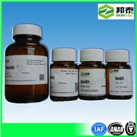 Coenzyme I Nadh Nicotinamide Adenine Dinucleotide, Reduced Form CAS No.: 606-68-8