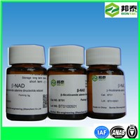 Nad Nicotinamide Adenine Dinucleotide Coenzyme I Biocatalysis CAS No.: 53-84-9