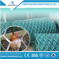 china hexagonal decorative wire mesh for chicken coop