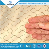 china factory&exporter galvanized hexagonal wire mesh for outdoor dog fence