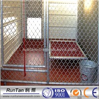 Chain link fence for dog kennel