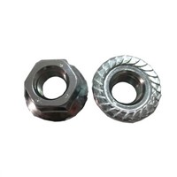 Hex Flange Nut