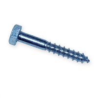 Coach Screw