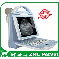 Veterinary Ultrasound Scanner Diagnosed Instrument Pet Hospital